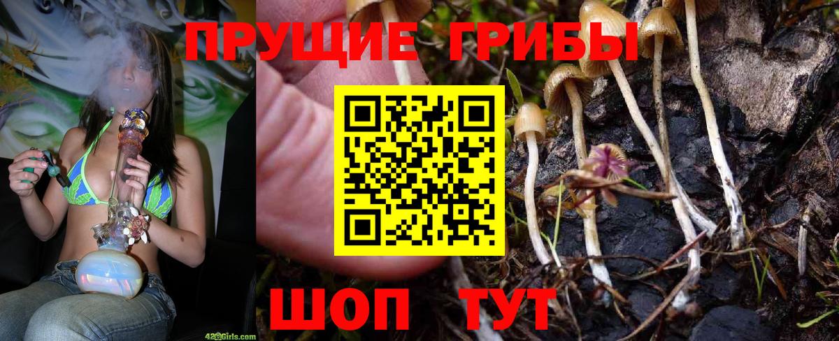 Псилоцибиновые грибы GOLDEN TEACHER Тавда