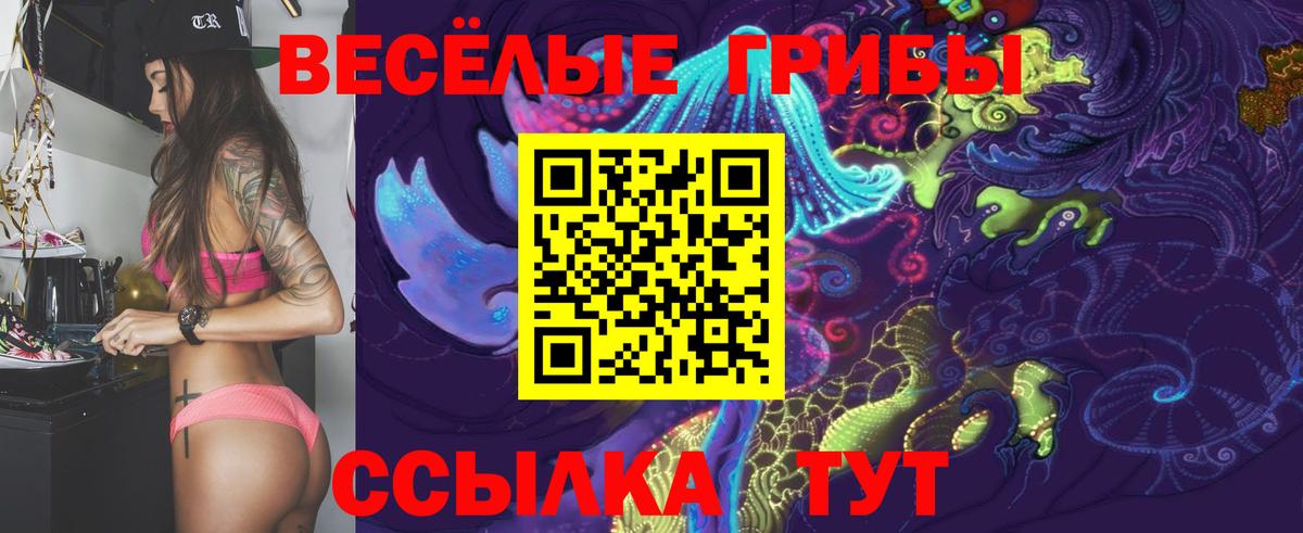 Псилоцибиновые грибы мицелий  Вход с VPN  Тавда  Галлюциногенные грибы GOLDEN TEACHER 